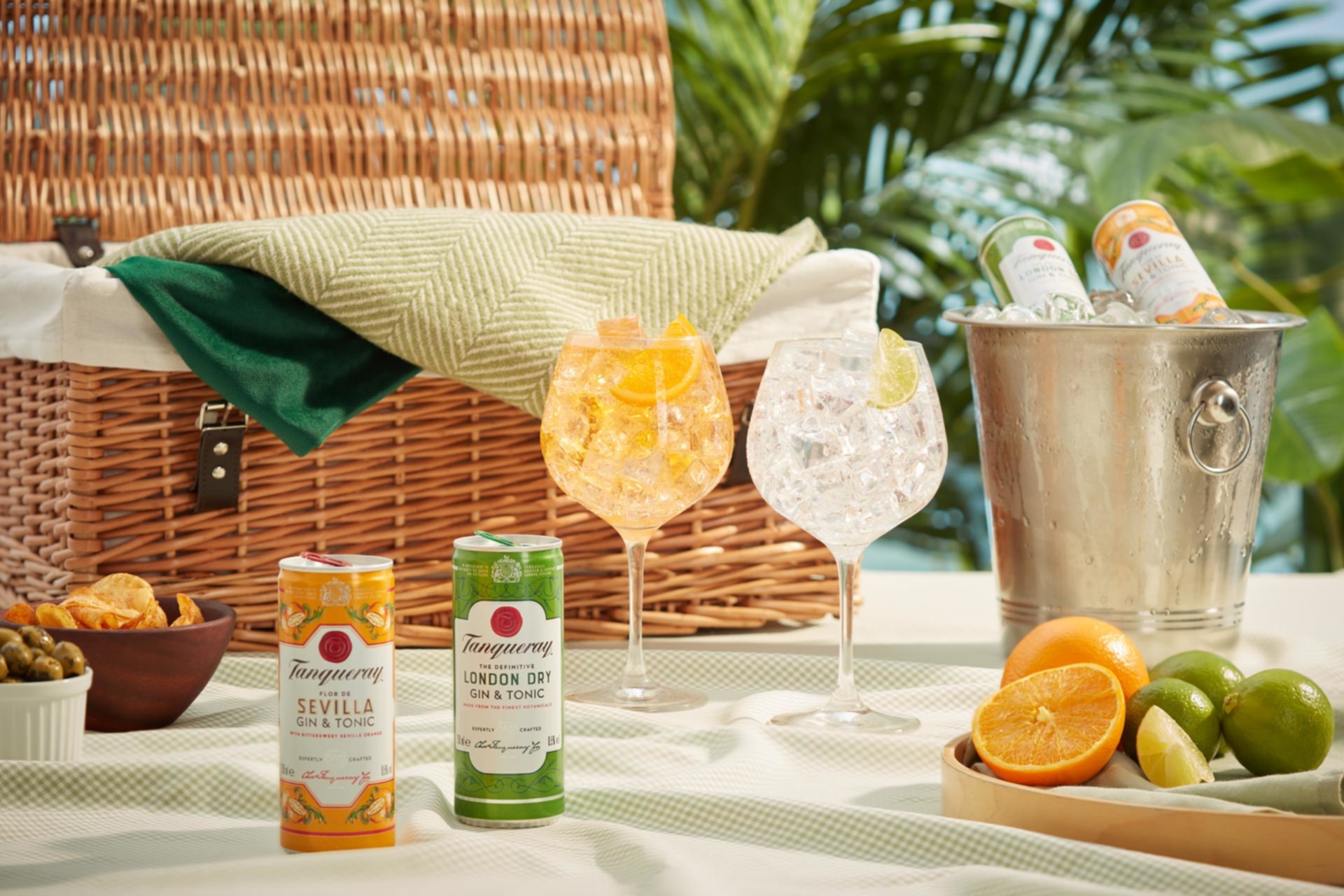 Tanqueray-ready-to-drink-picnic_1920px.jpg